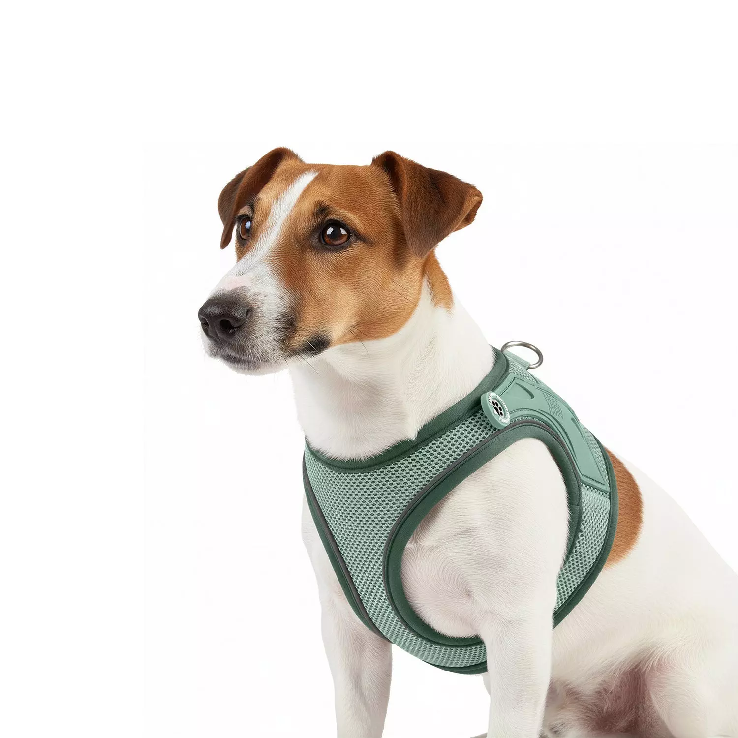 Max & Molly Air Vest - Matrix 2.0 Jade/XXL