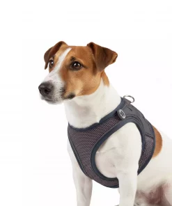 Max & Molly Air Vest - Matrix 2.0 Stone/XL
