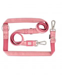 Max & Molly Multi-Function Leash - Matrix 2.0 Rose/S