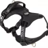 Max & Molly Sport Harness - Matrix 2.0 Black/S
