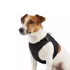 Max & Molly Air Vest - Matrix 2.0 Black/XXS