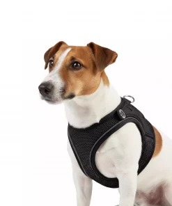 Max & Molly Air Vest - Matrix 2.0 Black/XL