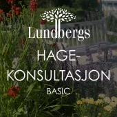 Hagekonsultasjon basic
