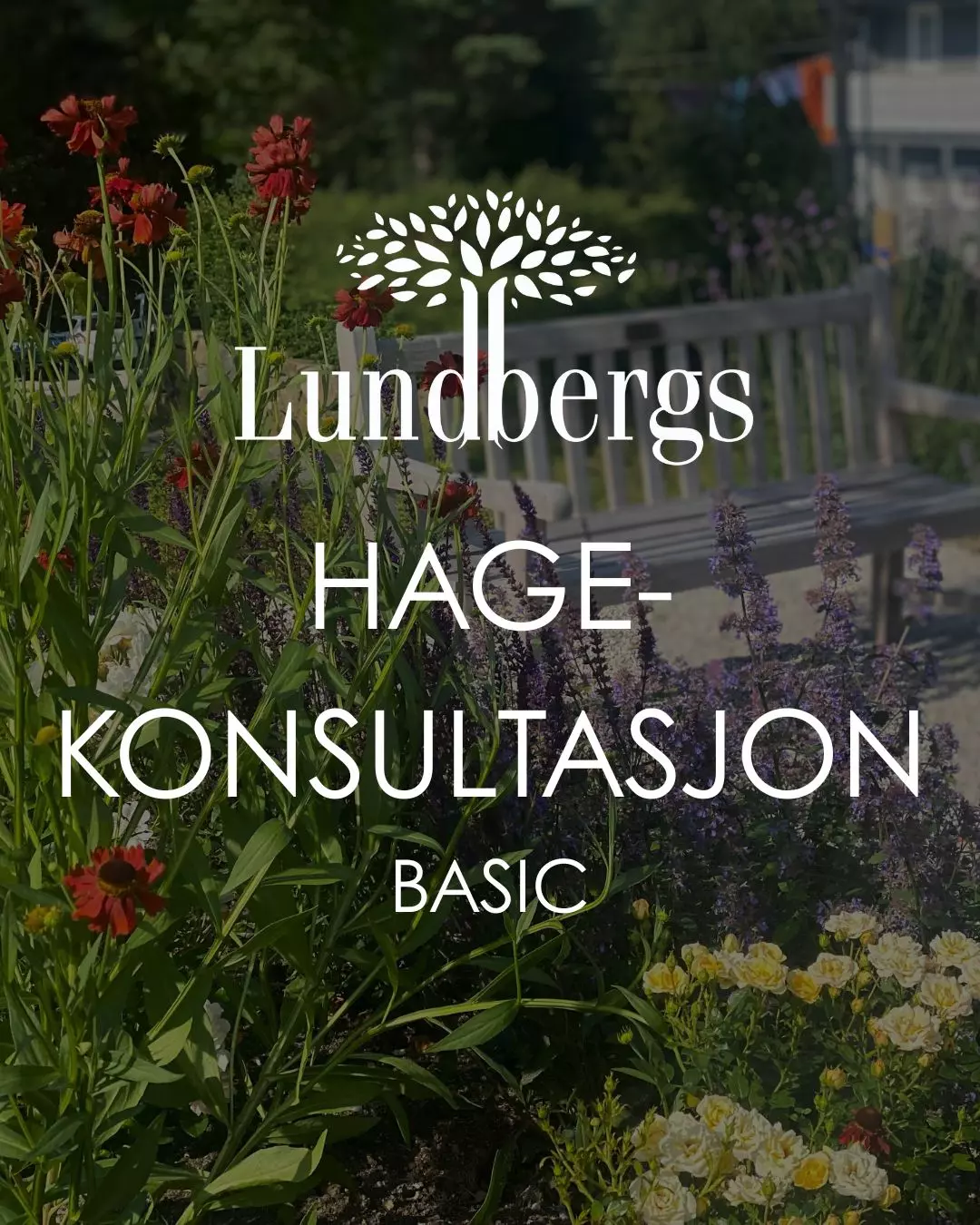 Hagekonsultasjon basic
