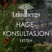 Hagekonsultasjon ekstra
