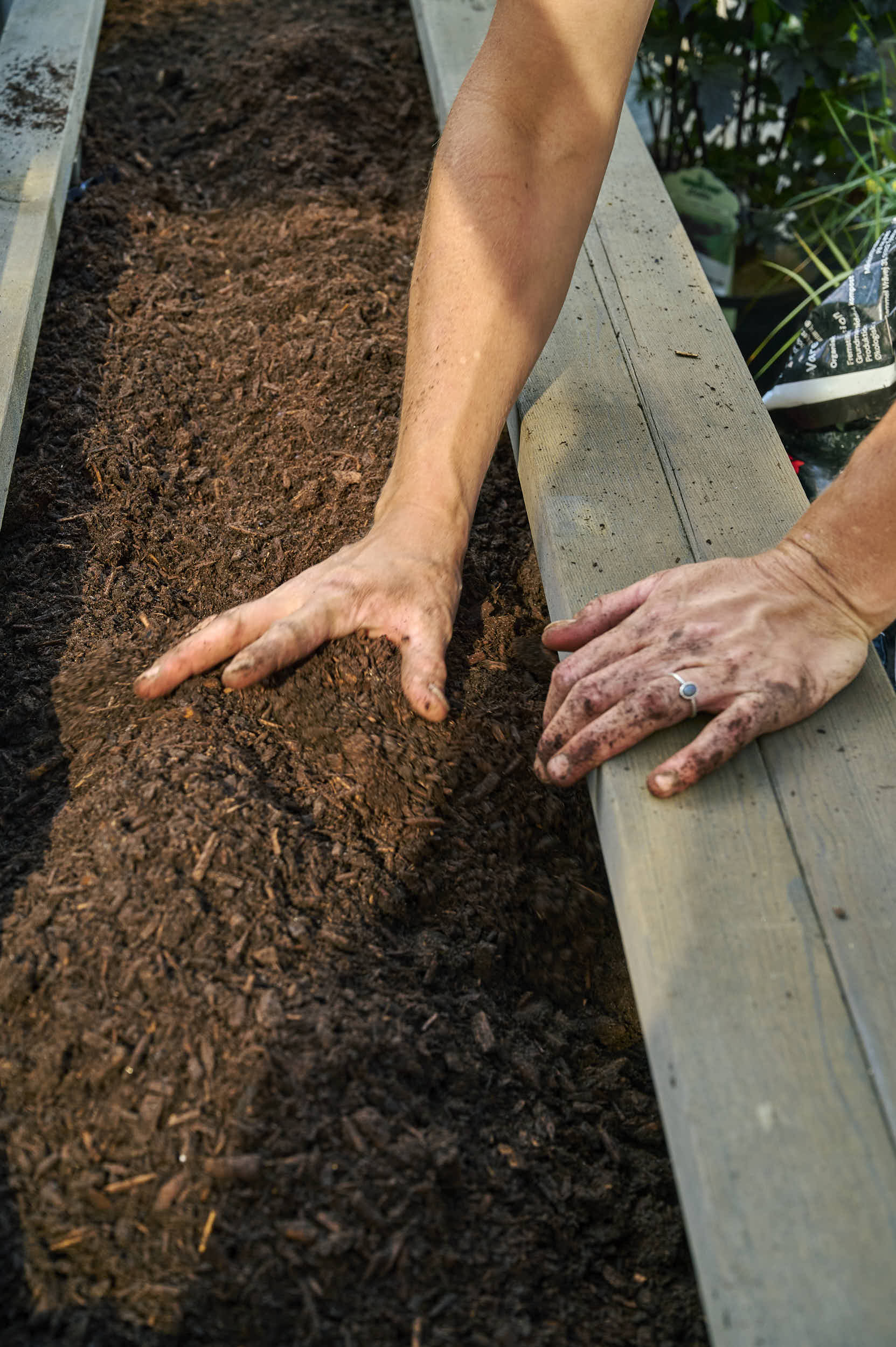 Hender som graver i jorden i en blomsterkasse