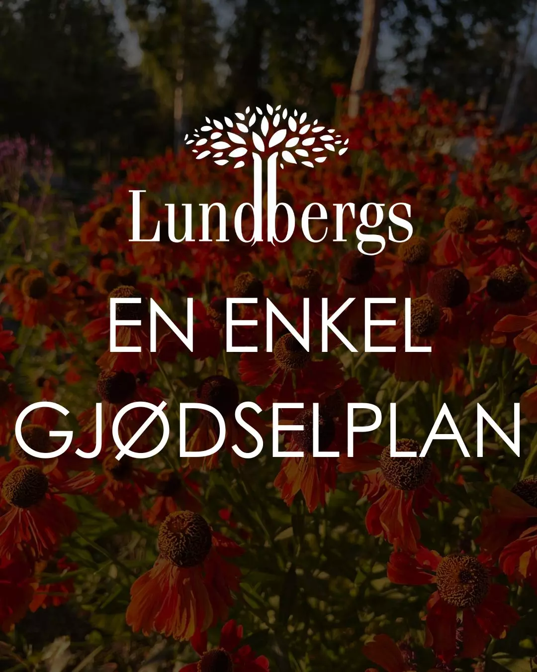 En enkel gjødselplan