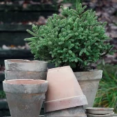 La Plage Brown Ø20/H17cm ink. underskål