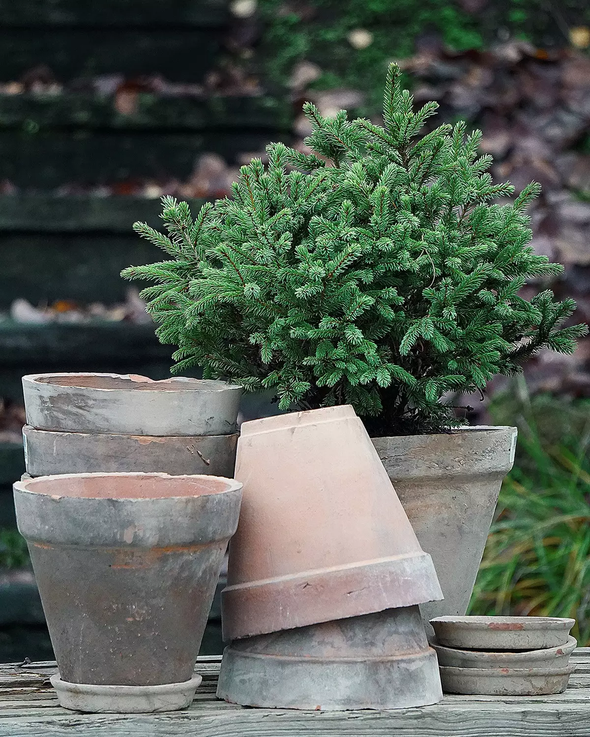 La Plage Brown Ø20/H17cm ink. underskål