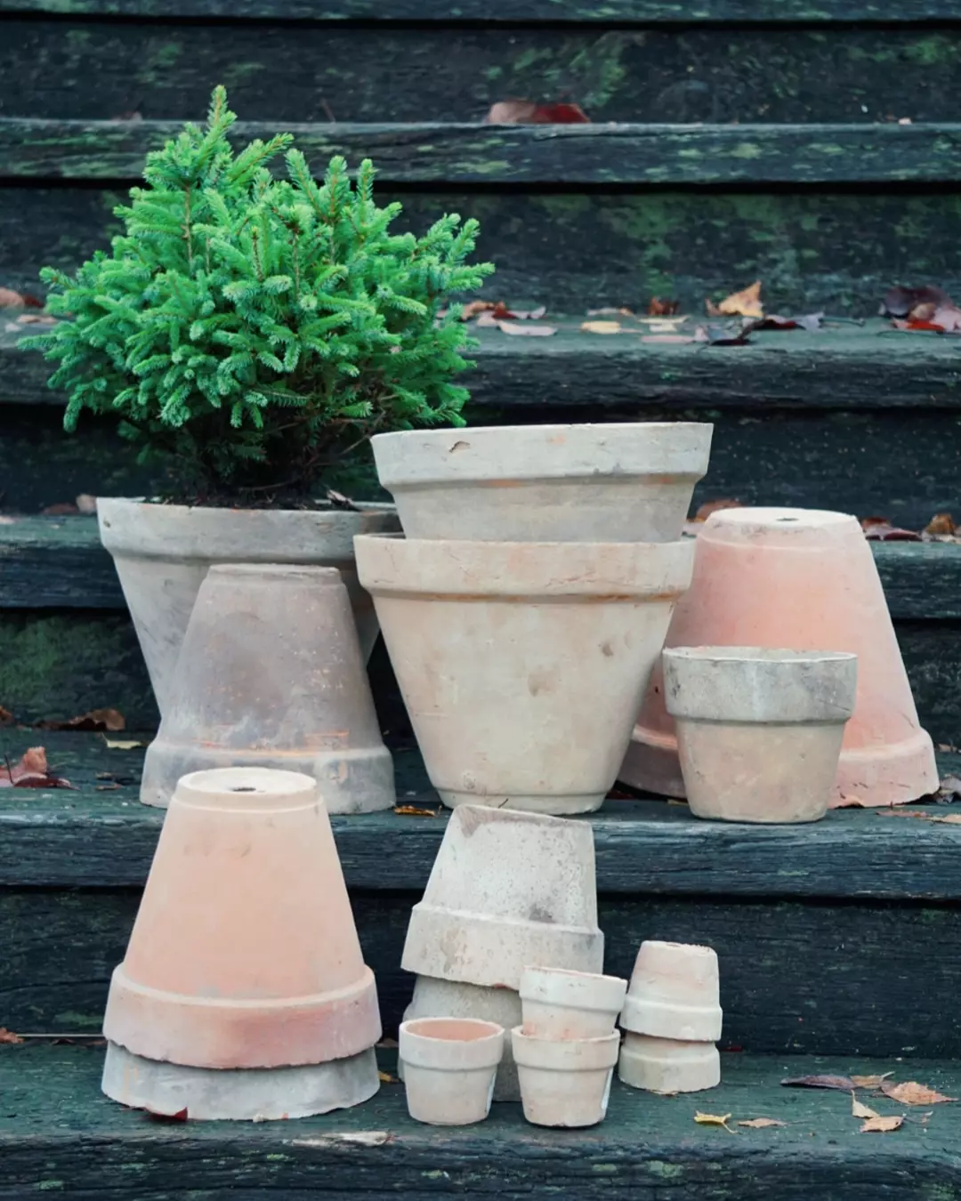 La Plage Nature Ø25/H21cm ink. underskål