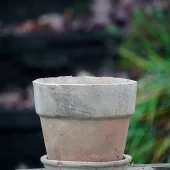 Mini pot Ø6/H6cm ink. underskål