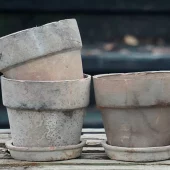 gallery-6-for-107082