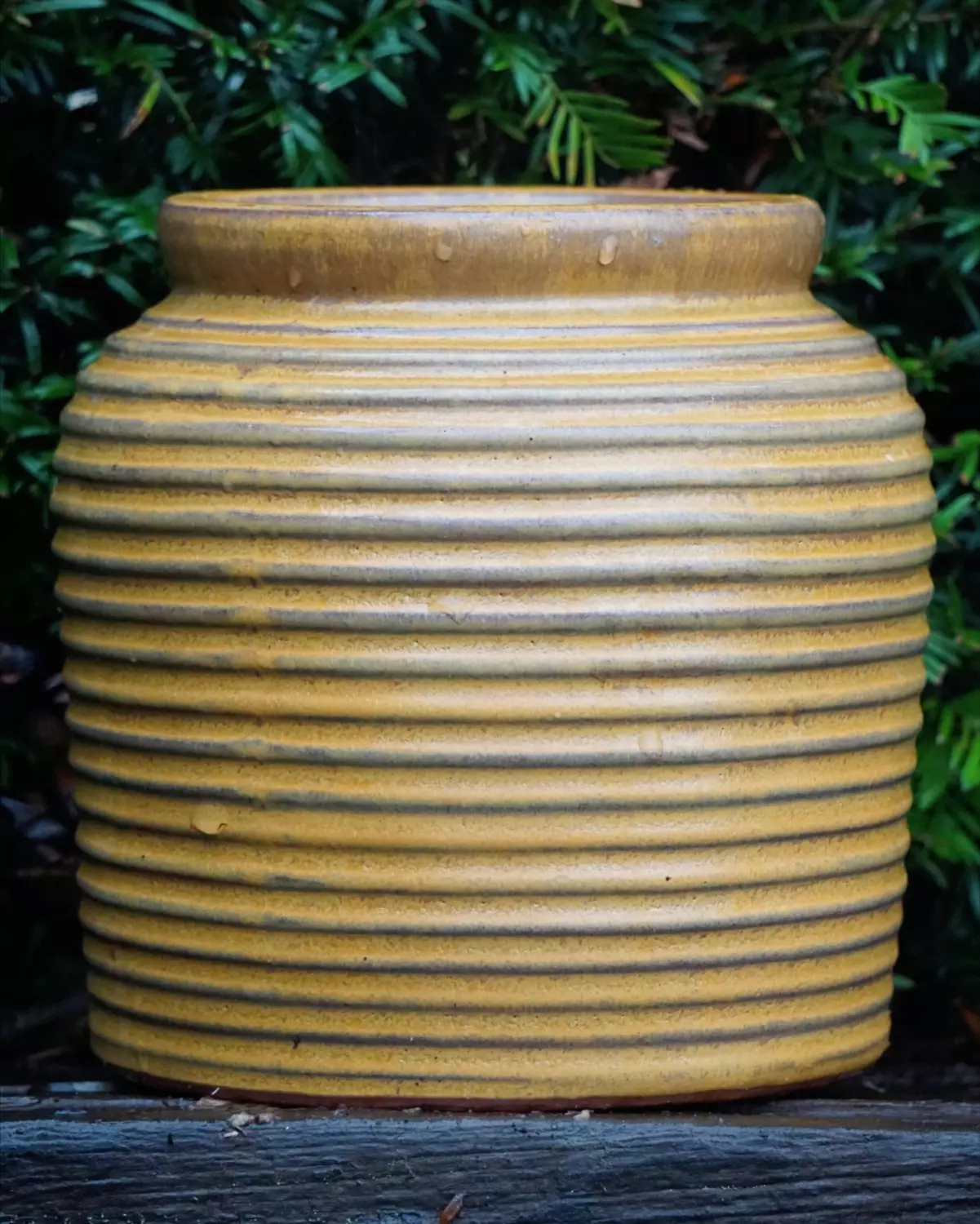 Nelly - Matt Honey - Ø 19