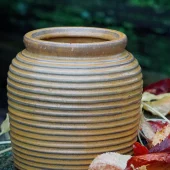 gallery-12-for-106751