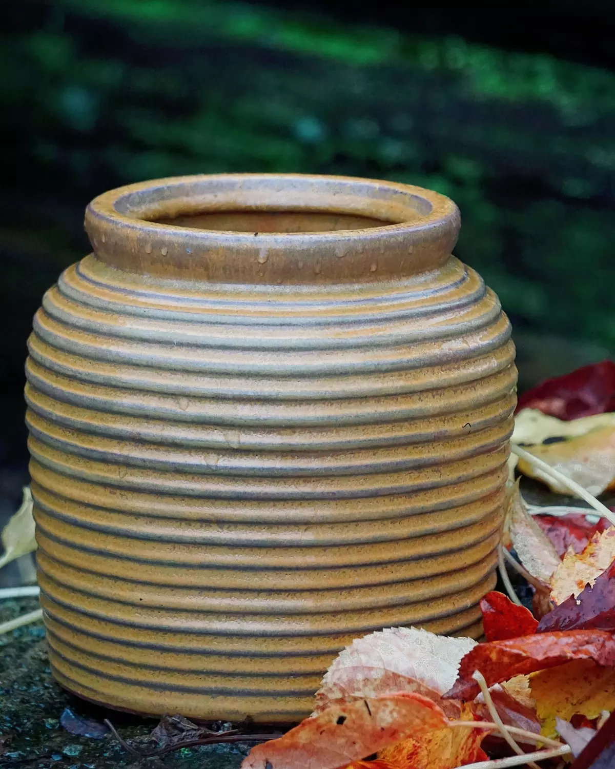 gallery-12-for-106751