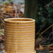 gallery-14-for-106776