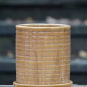 Miriam - Caramel -Potte Ø 14