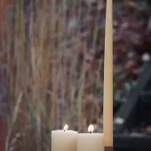 gallery-15-for-106725