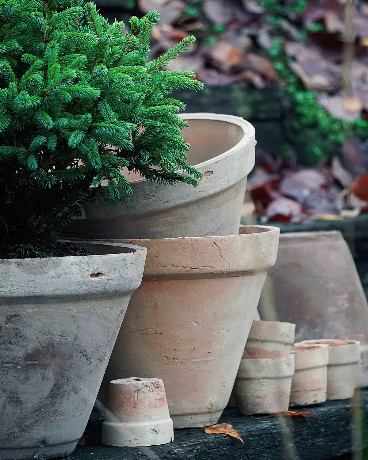 La Plage Nature Ø20/H17,5cm ink. underskål