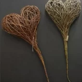 Pilflettingskurs - Hjerte