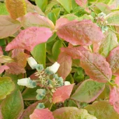 gallery-18-for-107084