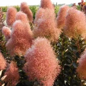 gallery-23-for-107091