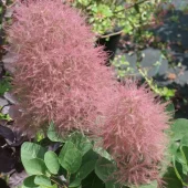 gallery-24-for-107092