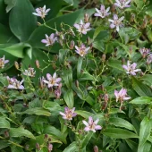 gallery-29-for-107086