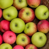 Familietre eple, 3 sorter