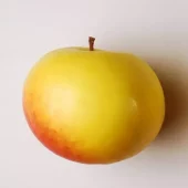 Malus domestica 'Silkeeple'(MM111)
