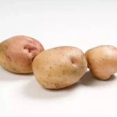 Settepotet Kerrs Pink 2,5 kg - lagringspotet