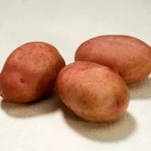 Settepotet Beate 2,5 kg - lagringspotet