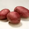 Settepotet Pimpernell 2,5 kg - lagringspotet