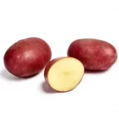 Settepotet Nansen 2,5 kg - lagringspotet