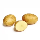 gallery-34-for-106178