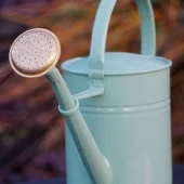 Anika - Light Green - Vannkanne 1,7L