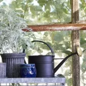 gallery-71-for-106802