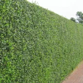 gallery-38-for-105151