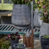 gallery-98-for-106787