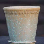 gallery-100-for-106760