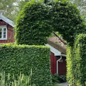 gallery-105-for-102743