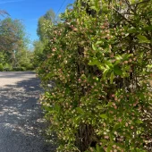 gallery-110-for-105845