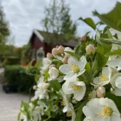 gallery-111-for-105845