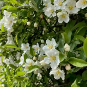 gallery-112-for-105845