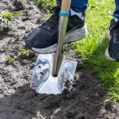 gallery-135-for-104934