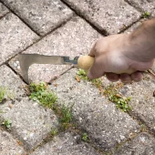 Belegningssteinkniv / skrape for ugressfjerning