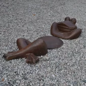 17102 BC - Lazy - Afslappet frø