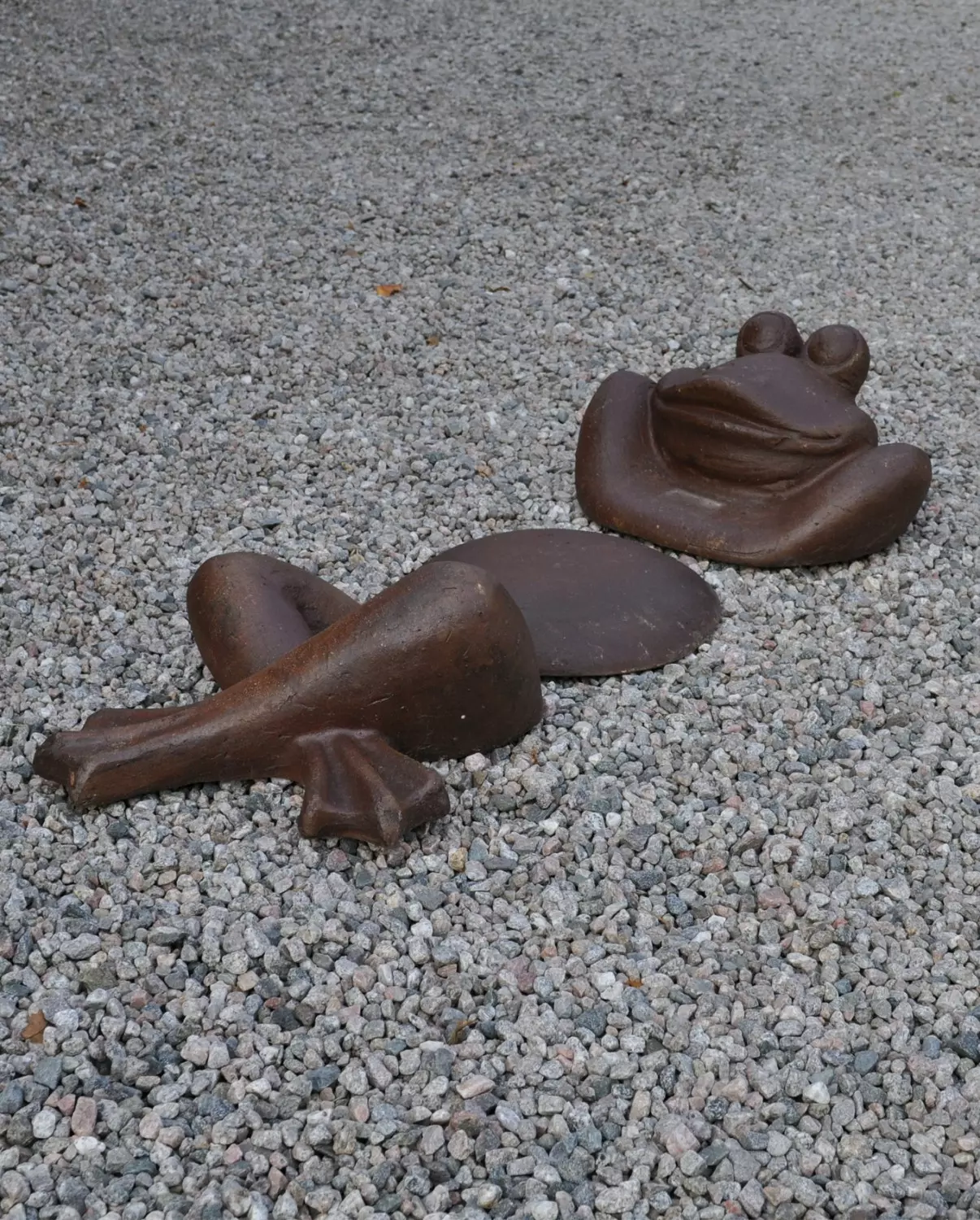17102 BC - Lazy - Afslappet frø