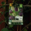 Fritillaria meleagris mix 15 stk.