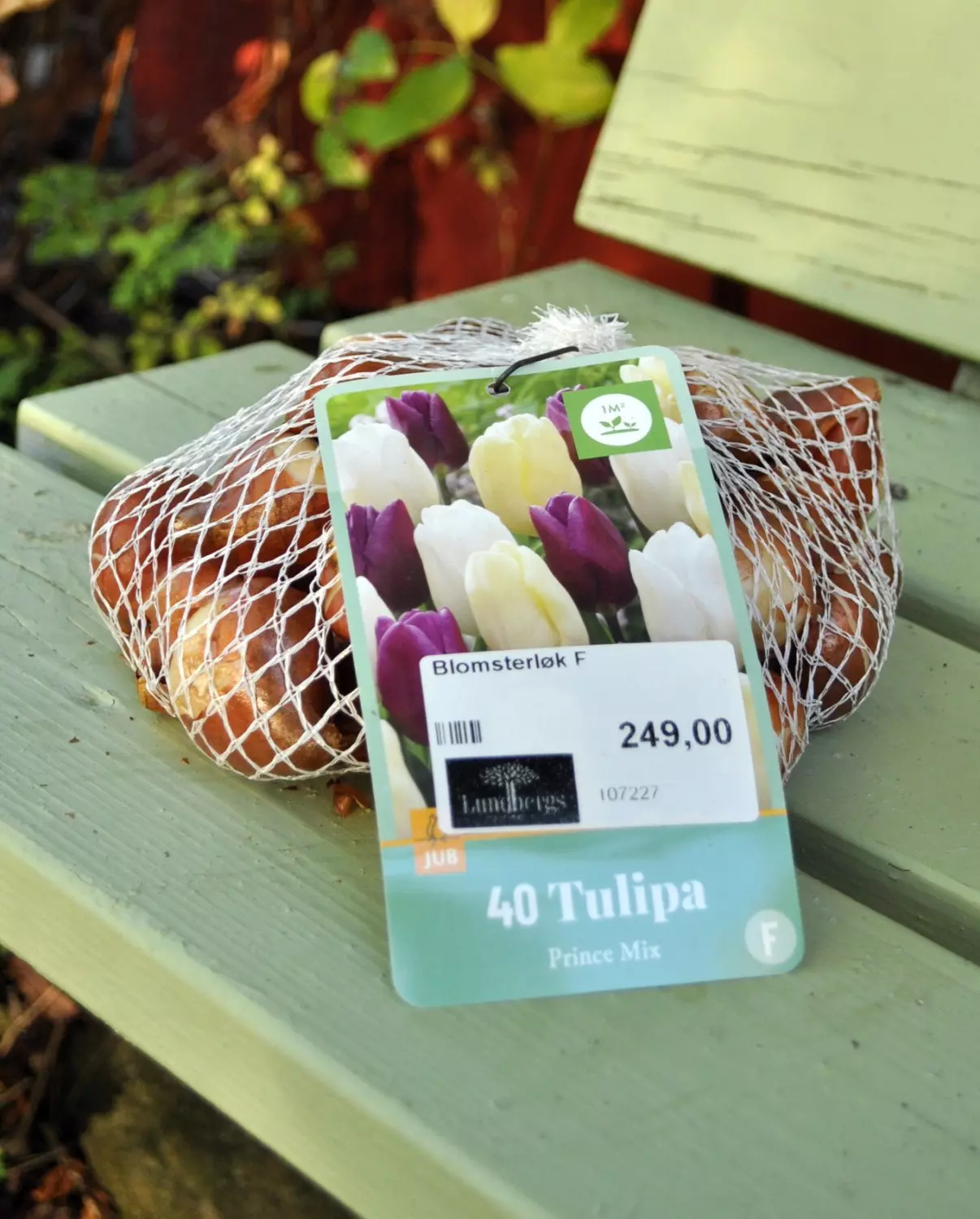Tulipa Prince Mix 40 stk.